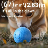 Interactive USB Rechargeable Dog Toy Ball