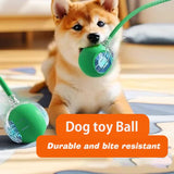 Smart Dog Interactive Ball Toy | Automatic Rolling Rechargeable with 3 Play Modes for Dogs & Cats
