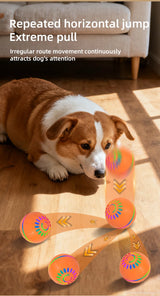 Interactive USB Moving Bouncing Ball Dog Toy