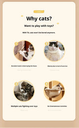 Interactive Cat Toy Wheel Exerciser | Remote Control Cat Treadmill with Bird Sound & Feather Toy