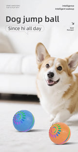 Interactive USB Moving Bouncing Ball Dog Toy