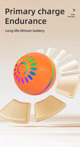 Interactive USB Moving Bouncing Ball Dog Toy
