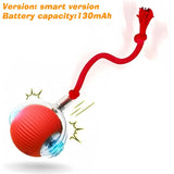 Smart Dog Interactive Ball Toy | Automatic Rolling Rechargeable with 3 Play Modes for Dogs & Cats