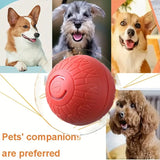 Interactive USB Rechargeable Dog Toy Ball