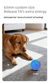 Interactive Dog Ball Toy | USB Automatic Moving Bouncing Petal Ball for Puppies & Large Dogs