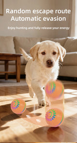 Interactive USB Moving Bouncing Ball Dog Toy
