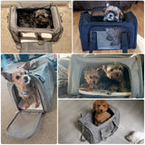 Airline Approved Dog Carrier Bag | Soft Side Backpack for Small Dogs & Cats Travel