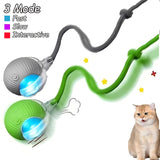 Cat Interactive Ball Toy | Automatic Rolling Ball with Faux Tail & Smart Rechargeable Electric Pet Toy