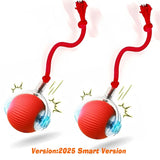Smart Dog Interactive Ball Toy | Automatic Rolling Rechargeable with 3 Play Modes for Dogs & Cats