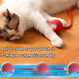 Cat Interactive Ball Toy | Automatic Rolling Ball with Faux Tail & Smart Rechargeable Electric Pet Toy