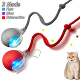 Cat Interactive Ball Toy | Automatic Rolling Ball with Faux Tail & Smart Rechargeable Electric Pet Toy