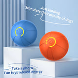 Interactive USB Rechargeable Dog Toy Ball