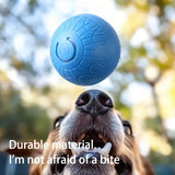Smart Interactive Dog Ball Toy – USB Rechargeable Chew Ball