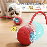Cat Interactive Ball Toy | Automatic Rolling Ball with Faux Tail & Smart Rechargeable Electric Pet Toy