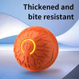Interactive USB Rechargeable Dog Toy Ball