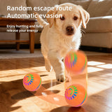 Interactive USB Moving Bouncing Ball Dog Toy