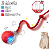 Cat Interactive Ball Toy | Automatic Rolling Ball with Faux Tail & Smart Rechargeable Electric Pet Toy