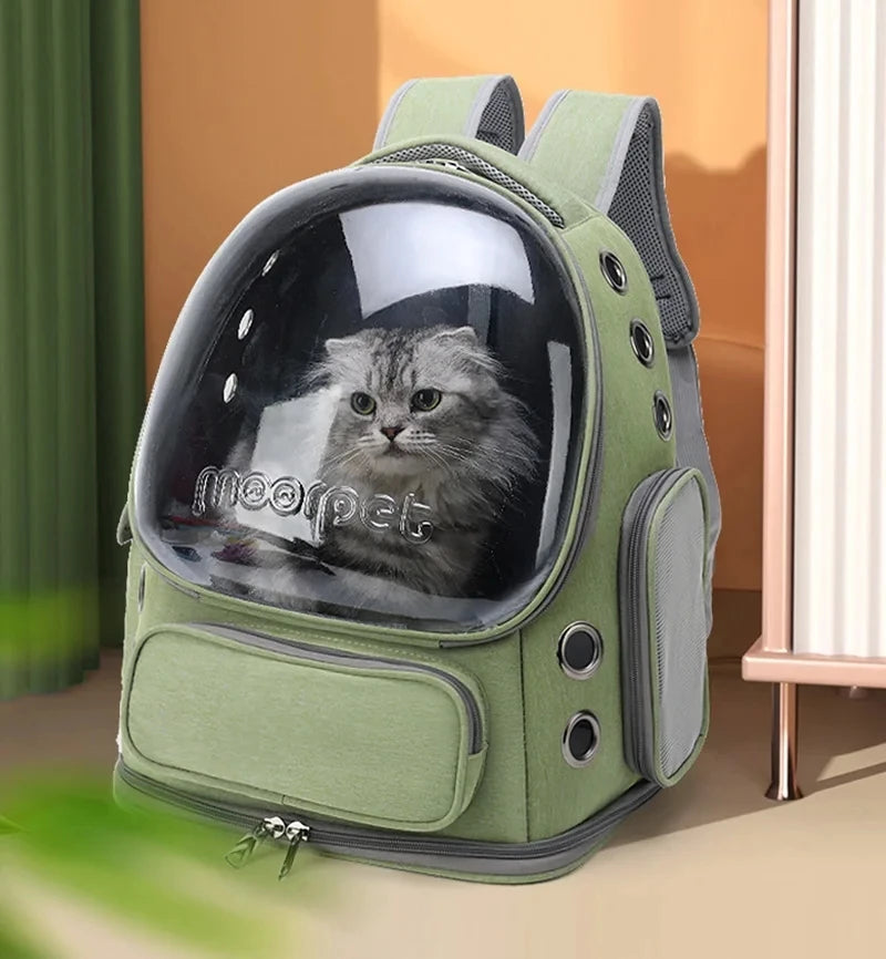 fox backpack jansport Hole 25 Ltrs Laptop (Black Camo Fade) Fashion pro Colour:Ivy Green Chicory Coffee Pink Nike Mesh Backpack styled Seattle Pack is