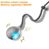 Smart Dog Interactive Ball Toy | Automatic Rolling Rechargeable with 3 Play Modes for Dogs & Cats
