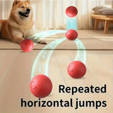 Interactive USB Rechargeable Dog Toy Ball
