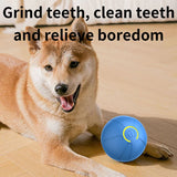 Smart Interactive Dog Ball Toy – USB Rechargeable Chew Ball