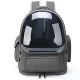 Breathable Transparent Pet Cat Carrier Bag | Outdoor Travel Backpack for Cats & Small Dogs