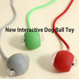 Smart Dog Interactive Ball Toy | Automatic Rolling Rechargeable with 3 Play Modes for Dogs & Cats