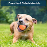 Automatic Rolling & Bouncing Pet Toy Ball with RGB Lights