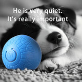 Smart Interactive Dog Ball Toy – USB Rechargeable Chew Ball