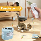 Automatic Indoor Cat & Dog Chase Toy with Remote