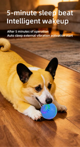 Interactive Dog Ball Toy | USB Automatic Moving Bouncing Petal Ball for Puppies & Large Dogs
