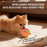 Interactive Dog Ball Toy | USB Automatic Moving Bouncing Petal Ball for Puppies & Large Dogs