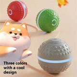 Interactive USB Rechargeable Dog Toy Ball