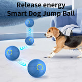 Interactive USB Rechargeable Dog Toy Ball