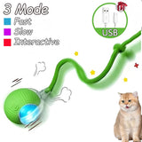 Cat Interactive Ball Toy | Automatic Rolling Ball with Faux Tail & Smart Rechargeable Electric Pet Toy