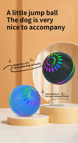 Interactive Dog Ball Toy | USB Automatic Moving Bouncing Petal Ball for Puppies & Large Dogs