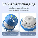 Interactive USB Rechargeable Dog Toy Ball