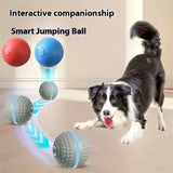 Smart Interactive Dog Ball Toy – USB Rechargeable Chew Ball