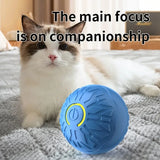 Interactive USB Rechargeable Dog Toy Ball