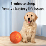 Smart Interactive Dog Ball Toy – USB Rechargeable Chew Ball