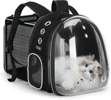 Pet carrier with a cat inside on a white background
