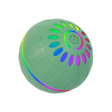 Interactive USB Moving Bouncing Ball Dog Toy