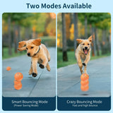Automatic Rolling & Bouncing Pet Toy Ball with RGB Lights