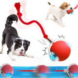 Rechargeable Smart Interactive Ball Toy for Dogs and Cats